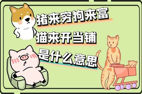 狗來旺|俗语“狗来旺，猫来富，燕来筑巢家兴旺”，是什么意思呢？